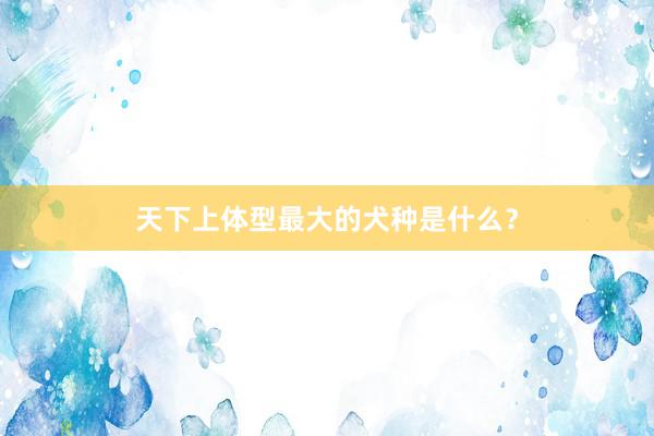 天下上体型最大的犬种是什么?
