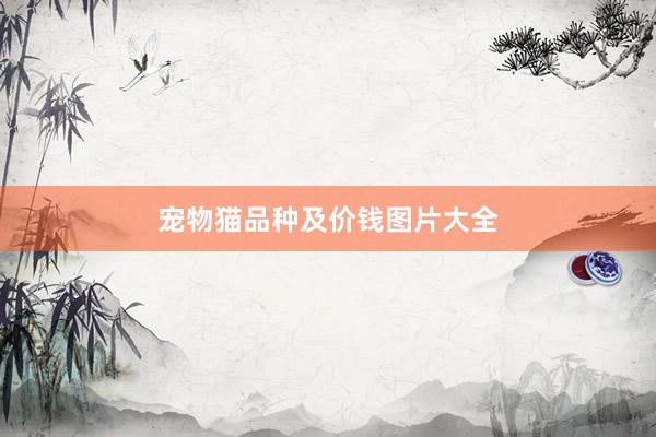 宠物猫品种及价钱图片大全