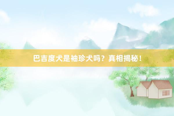 巴吉度犬是袖珍犬吗?真相揭秘!